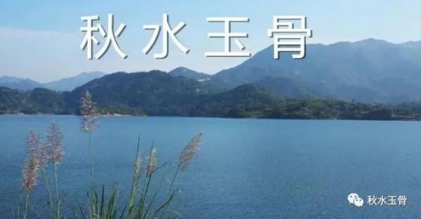 女教師作家秋水深情美文《人到中年情最弱》