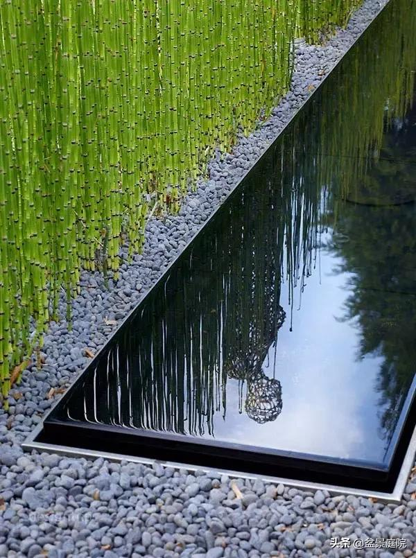 家有竹園，這才是極具風雅之事