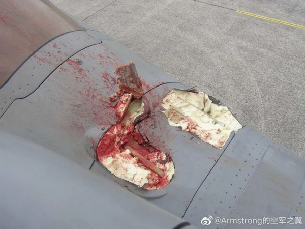 實物不夠模型來湊？陣風對付殲20的神器竟然是泡沫，印度：我慌了