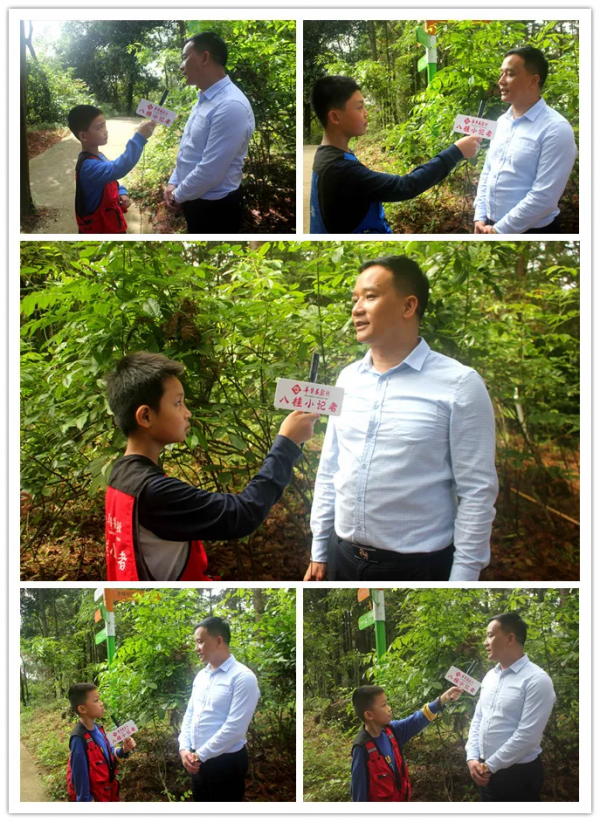 小記遊學高峰森林公園:研學路辨中草藥材,訪靈芝谷看林下經濟 小記遊學高峰森林公園:研學路辨中草藥材,訪靈芝谷看林下經濟