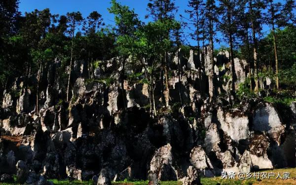 重慶主城周邊15個小眾景點。景色卻讓人流連忘返