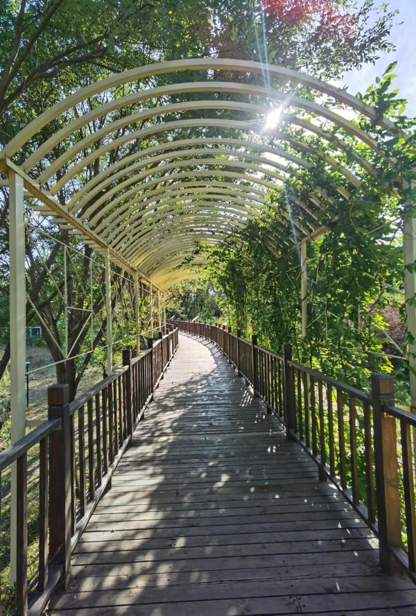 南海子公園咋恁美？