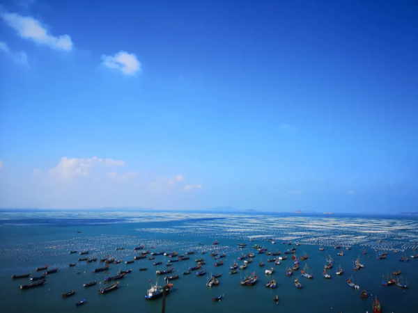 這是一篇幫你玩轉舟山的實用乾貨帖