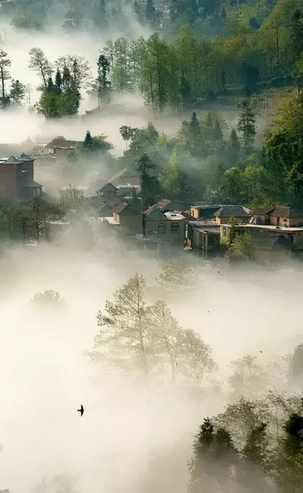 讀李白《登金陵鳳凰臺》