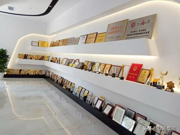 2021世界創新獎(WIA),珍島憑科技創新斬獲2項大獎 2021世界創新獎(WIA),珍島憑科技創新斬獲2項大獎