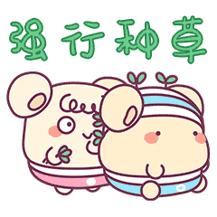 扎娜——新疆小公主的人間真實