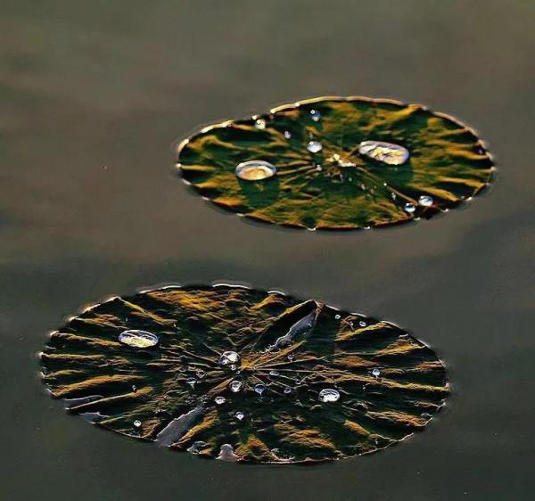 西北塞上江南——秋天