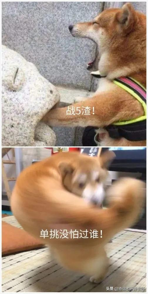 考研前後大比拼，快看看像不像拼搏的你