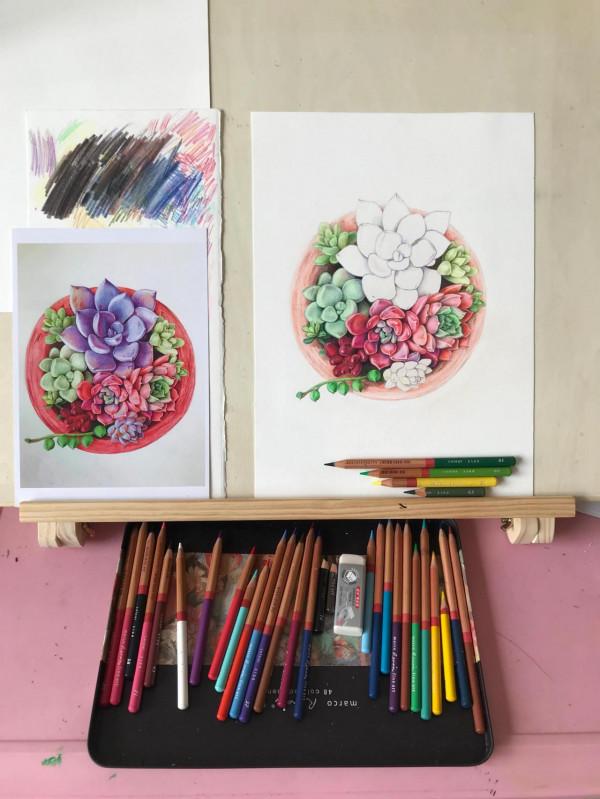 多肉植物彩鉛畫全過程（1-2）