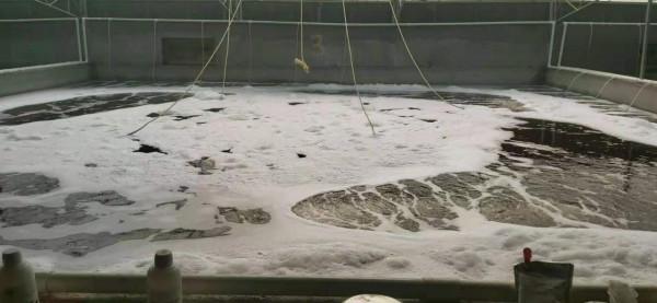 美麗的泡沫?內地工廠化淡水南美白對蝦養殖三年後,我有話要說 美麗的泡沫?內地工廠化淡水南美白對蝦養殖三年後,我有話要說