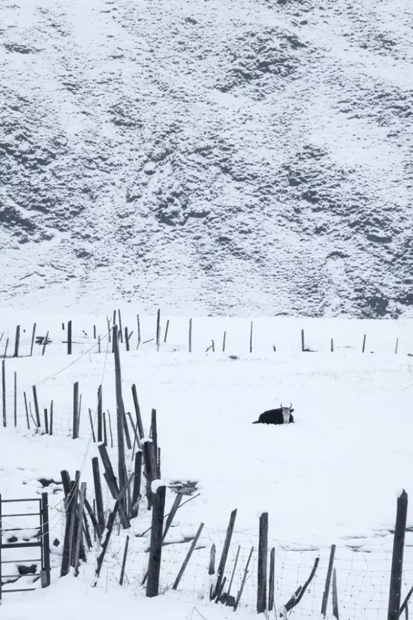 聽完29個雪的名字,原來每一場雪都獨一無二! 聽完29個雪的名字,原來每一場雪都獨一無二!