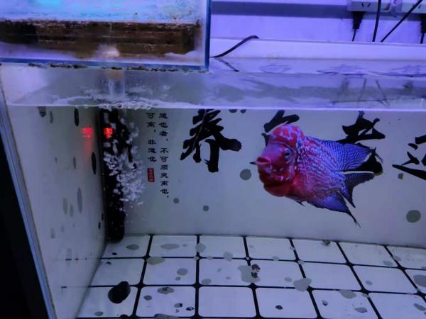 為什麼有些魚友的加熱管始終加不到預定溫度，會有哪些原因？