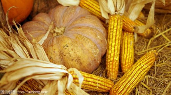 入秋後多吃南瓜，常吃身體棒