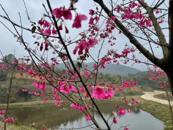 朋友圈2022年第7期｜&vert;好山好水