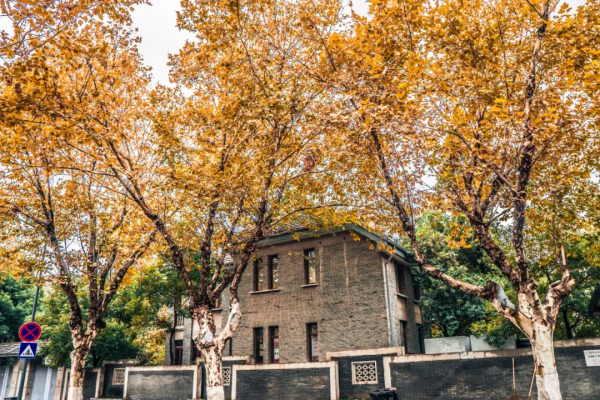 一到秋天，這五座古城就美翻，趕緊去打卡吧