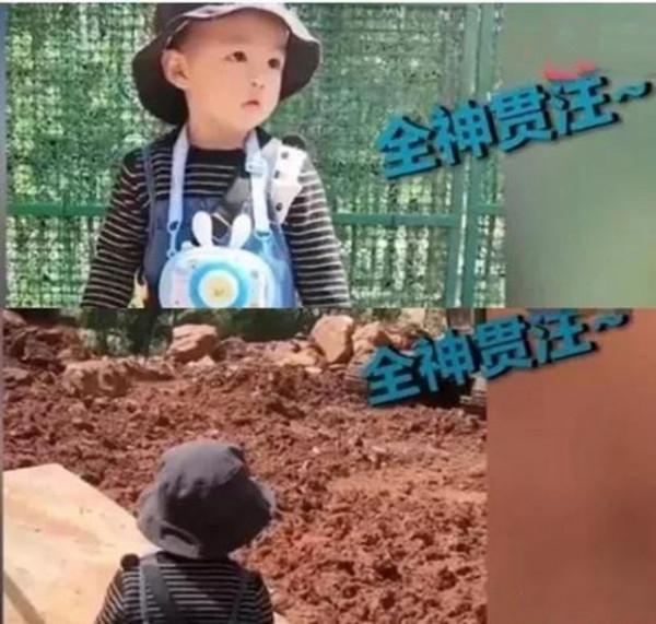 孩子痴迷挖掘機,背後是有原因的,家有喜歡挖掘機娃的家長要知道 孩子痴迷挖掘機,背後是有原因的,家有喜歡挖掘機娃的家長要知道