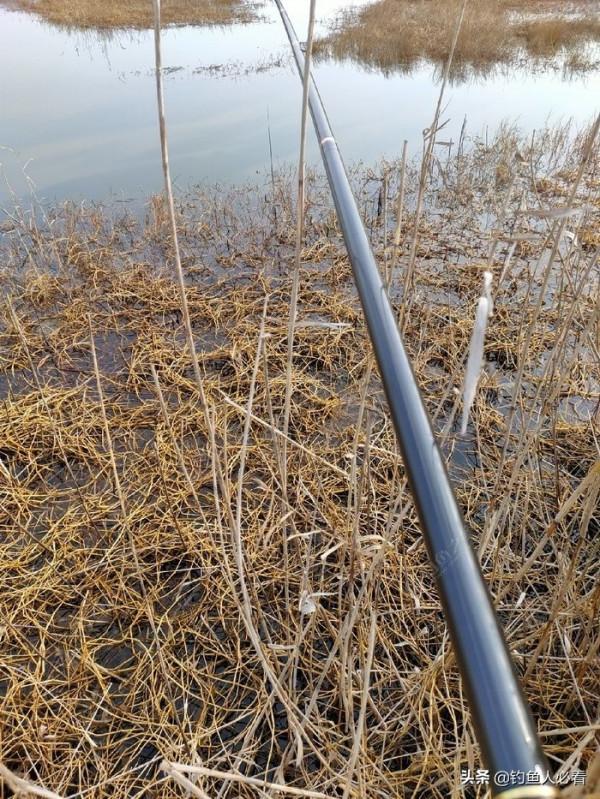 冬季出釣時，什麼天氣和什麼風向最容易出魚？淺談個人觀點