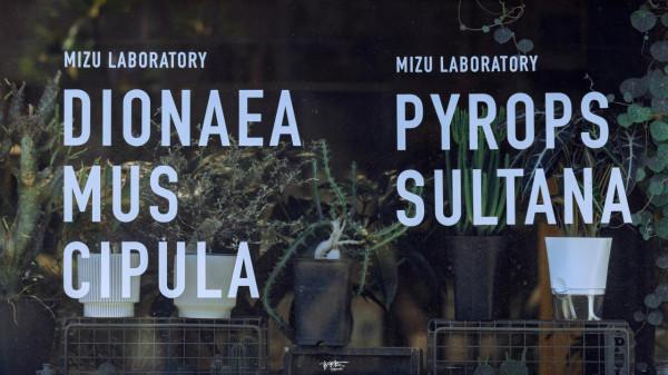 一到北京最美的季節,就想去這條北京最文藝的衚衕 一到北京最美的季節,就想去這條北京最文藝的衚衕