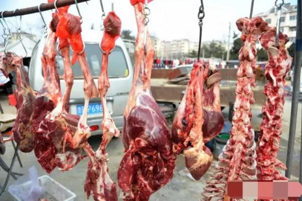 蔥價跌50%,仔豬漲40%,羊價驟漲,雞價低迷,糧價穩中回跌,咋了 蔥價跌50%,仔豬漲40%,羊價驟漲,雞價低迷,糧價穩中回跌,咋了