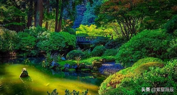 王牌飛行員奇遇:駕駛直升機在空中遭遇15米巨蟒,真相成謎 王牌飛行員奇遇:駕駛直升機在空中遭遇15米巨蟒,真相成謎