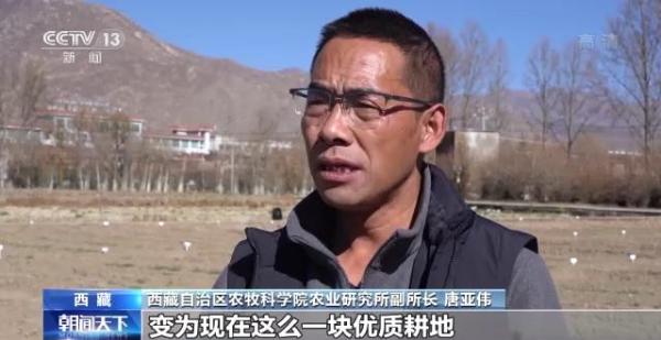 “老西藏精神”引領雪域高原鉅變！追尋西藏的發展“密碼”