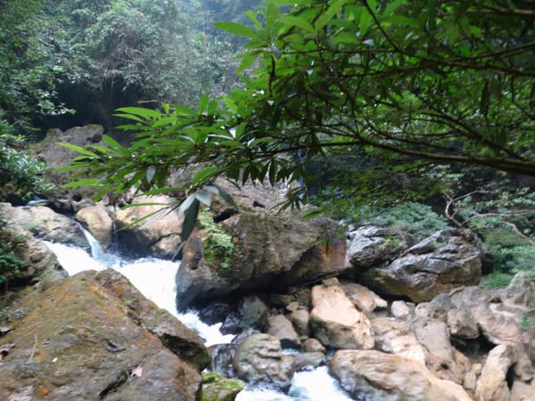 廣西美景慕名遊之十（2019.1）