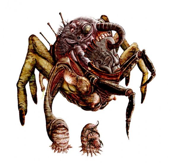 《魂鬥羅》終於搞懂外星生物的進化鏈，所有怪物都是同一源頭