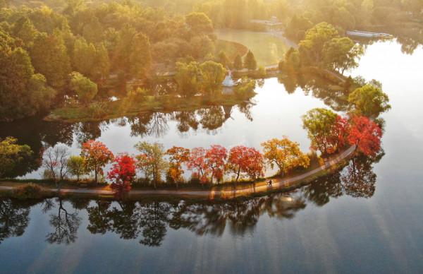 一入秋，南京就成了金陵