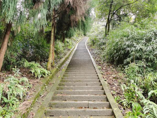 峨眉山徒步登山深度遊