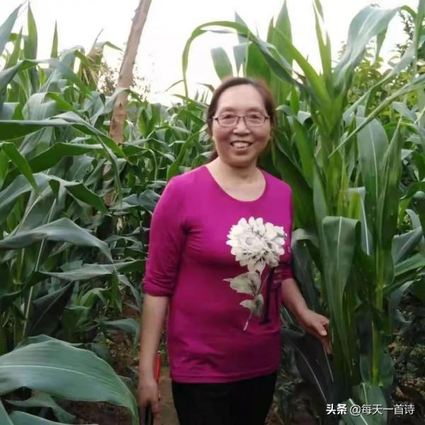 民間力量，中國實力詩人，四川詩人：王四姐