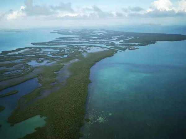 世界自然遺產——貝里斯大藍洞 世界自然遺產——貝里斯大藍洞