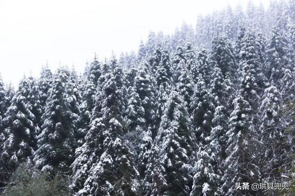 珙縣王家四里坡，看雪