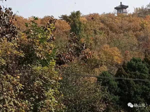 北京的秋---大山深處銀山塔林