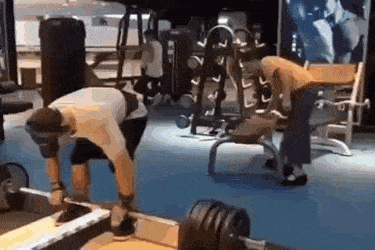 86個難得一見的照片，仙鶴踢飛老鷹，世界最早自拍，鞭腿的力量