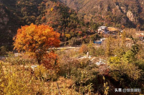 鄭州環翠峪,霜葉紅於二月花 鄭州環翠峪,霜葉紅於二月花
