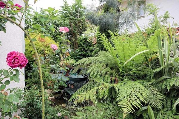 老人改造一個25年的70平米老花園,網友:幸福美滿的退休生活 老人改造一個25年的70平米老花園,網友:幸福美滿的退休生活