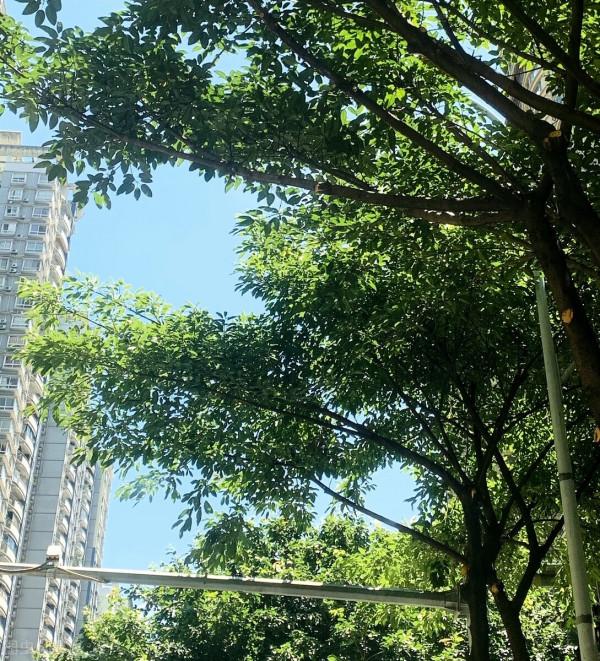 那些一眼驚鴻的句子 那些一眼驚鴻的句子