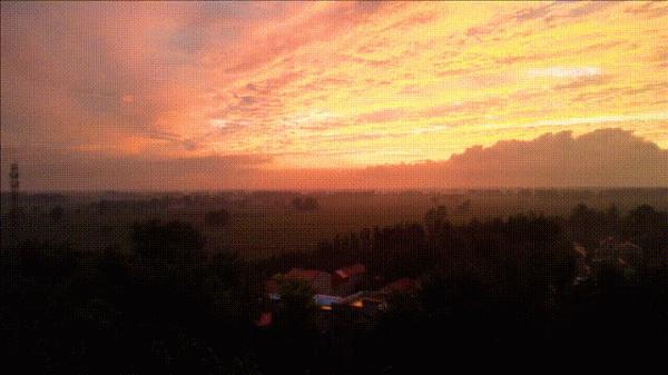 挖一勺梨膏泡一碗茶水,近60年的梨樹,帶給我們的還有歲月的積澱 挖一勺梨膏泡一碗茶水,近60年的梨樹,帶給我們的還有歲月的積澱