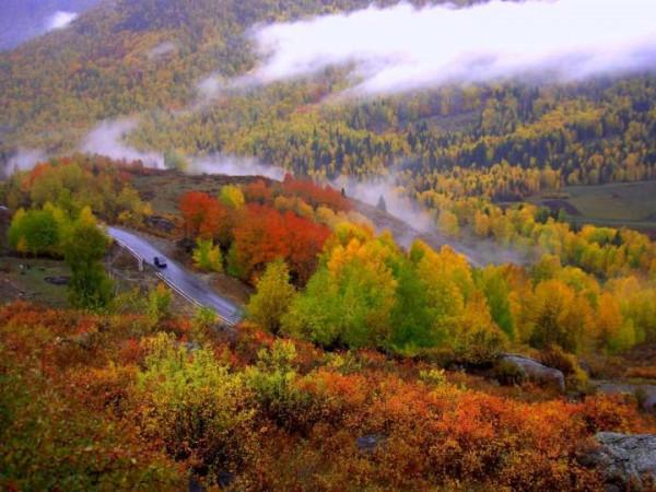 你想要來的新疆2022年是這樣的