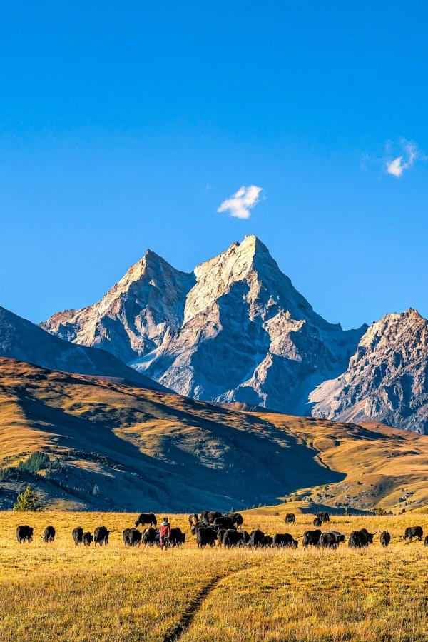 四川從哪裡來? 四川從哪裡來?