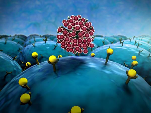 為什麼說奧密克戎會提升人民幣的國際地位？