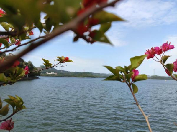 促銷打折的房子，你是抓住呢還是再等等呢？