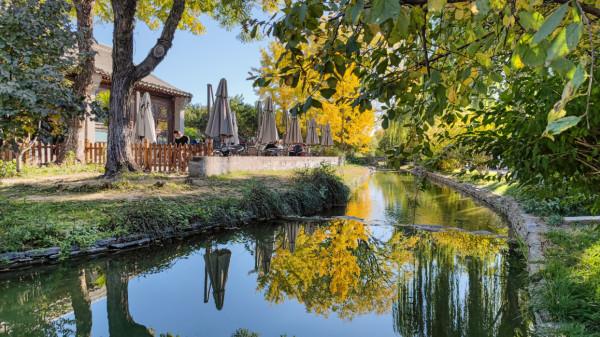 念念不忘，北京城中的桃花源！