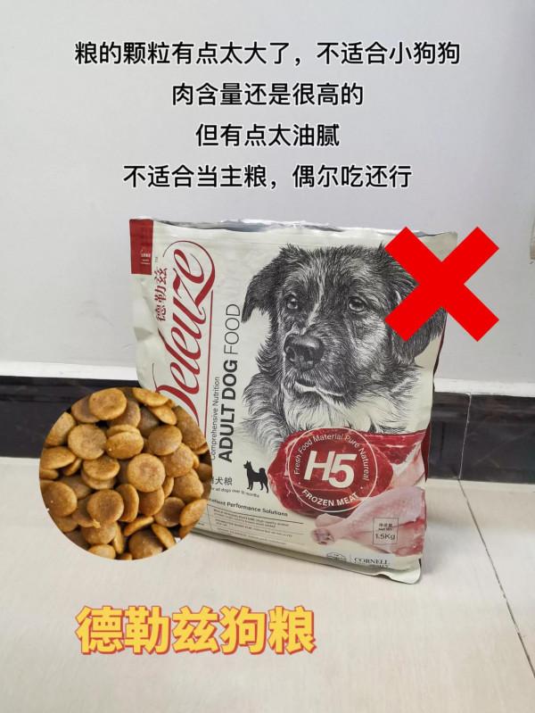 狗糧這麼多，如何才能選糧不翻車