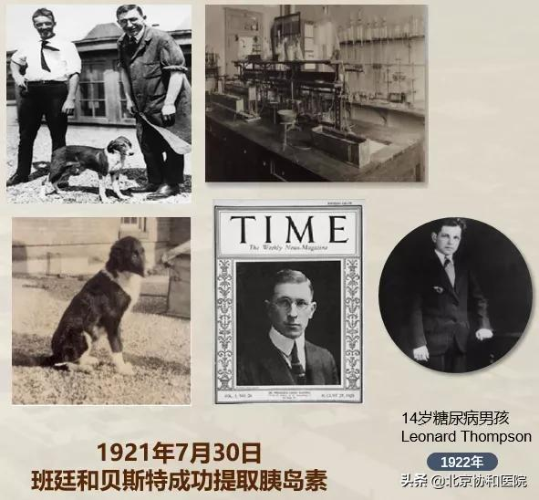 主任話科史 | 內分泌科主任夏維波:學史明理,知史礪行 主任話科史 | 內分泌科主任夏維波:學史明理,知史礪行