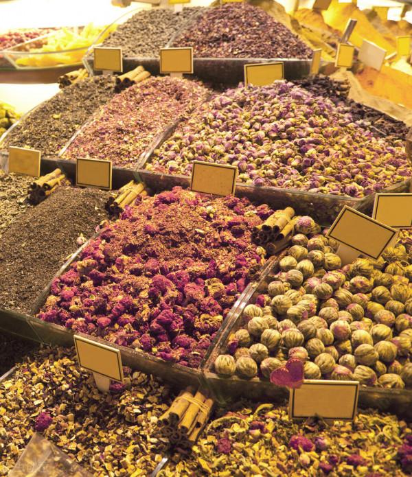 土耳其&mdash;&mdash;伊斯坦布林