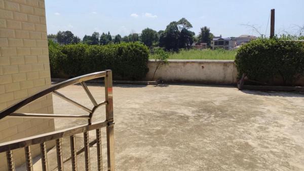 家裡的院子空蕩蕩的好可惜 家裡的院子空蕩蕩的好可惜