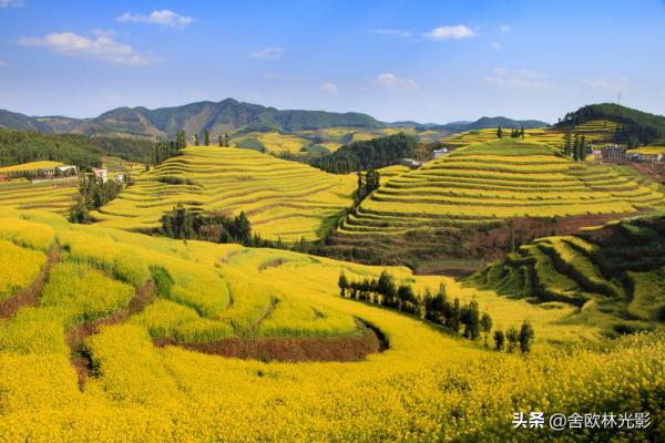 羅平馬街，一個把田地種成了風景畫的地方，山區賞花正當時哦