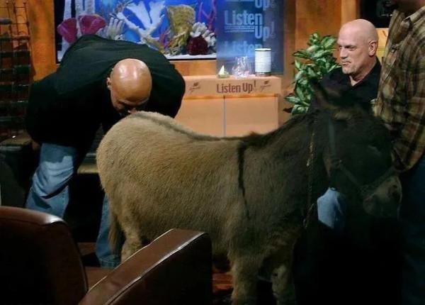 歷數20年NBA大事記！我們看的是籃球和偶像，更是情懷和熱愛(上)