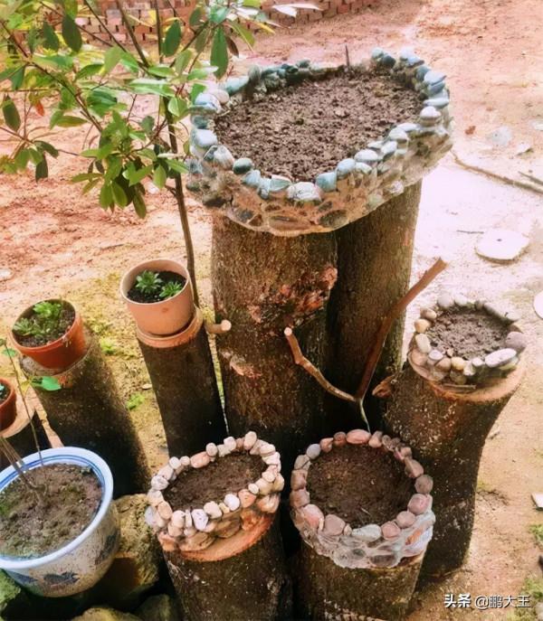 水泥石子堆做成簡易版花盆，省錢又好看，絕了